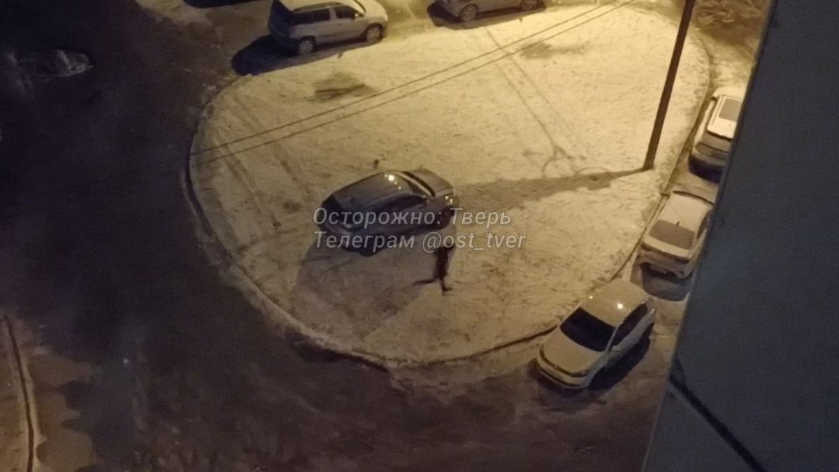 Ночью буйный житель Твери в одиночку напал на алкомаркет