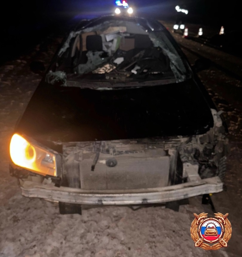 Два человека пострадали в столкновении иномарки и лося в Тверской области