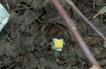 В Твери задержали отца и сына, подозреваемых в попытке сбыта наркотиков В Твери задержали отца и сына, подозреваемых в попытке сбыта наркотиков