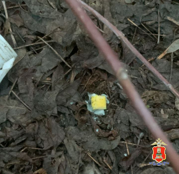 В Твери задержали отца и сына, подозреваемых в попытке сбыта наркотиков