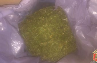 Почти 600 граммов марихуаны и конопли нашли в гараже у жителя Тверской области Почти 600 граммов марихуаны и конопли нашли в гараже у жителя Тверской области