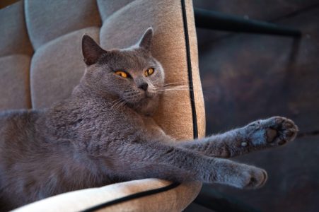 В этом году сокращенной рабочей недели к 23 февраля не будет