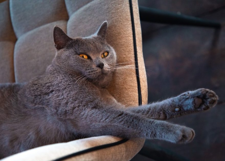 В этом году сокращенной рабочей недели к 23 февраля не будет