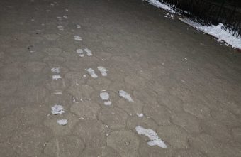 Во Дворец культуры в Твери пришел трехногий снежный человек Во Дворец культуры в Твери пришел трехногий снежный человек