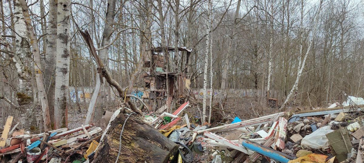 Посреди свалки в Твери возвели дом