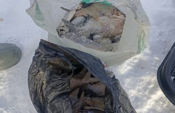 Рыбак из Тверской области недоволен, что выловил 2 мешка рыбы Рыбак из Тверской области недоволен, что выловил 2 мешка рыбы