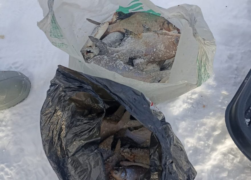 Рыбак из Тверской области недоволен, что выловил 2 мешка рыбы Рыбак из Тверской области недоволен, что выловил 2 мешка рыбы