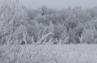 Полноценная зима вернется в Тверскую область