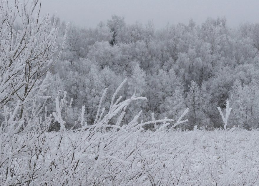 Полноценная зима вернется в Тверскую область