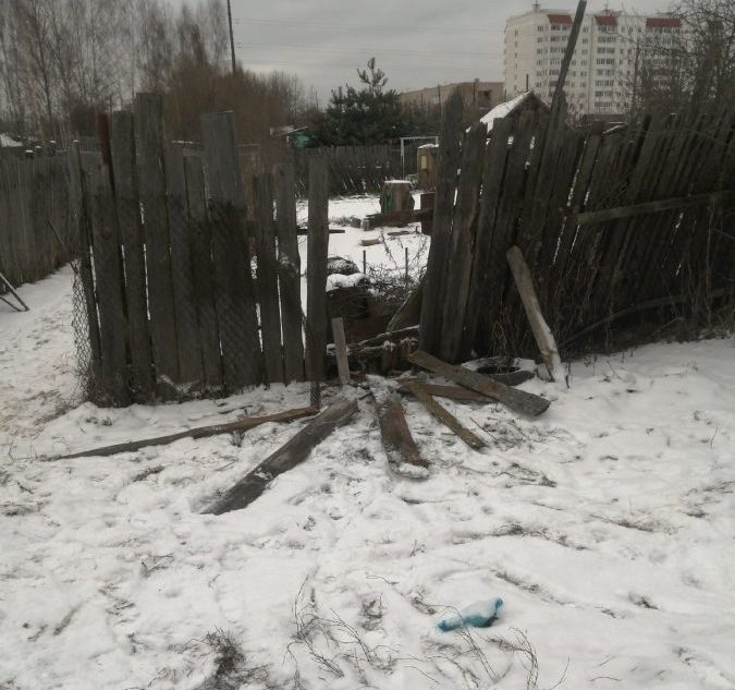 Под Тверью малолетние вандалы крушат частный сектор