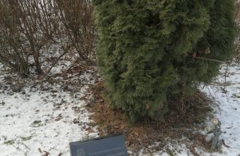 Жители Тверской области не сошлись во мнении о памятных досках погибшим в СВО   Жители Тверской области не сошлись во мнении о памятных досках погибшим в СВО