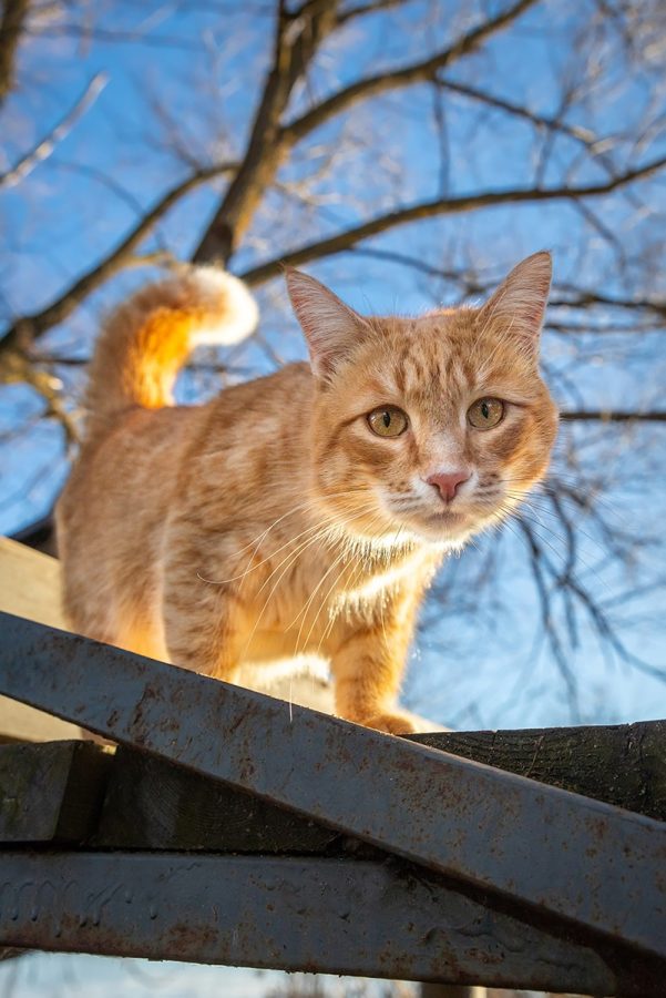 Погода приготовила жителям Тверской области два неприятных сюрприза