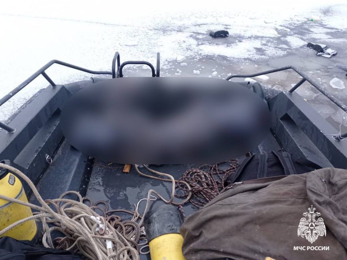 В Тверской области погибла женщина, провалившись под лед
