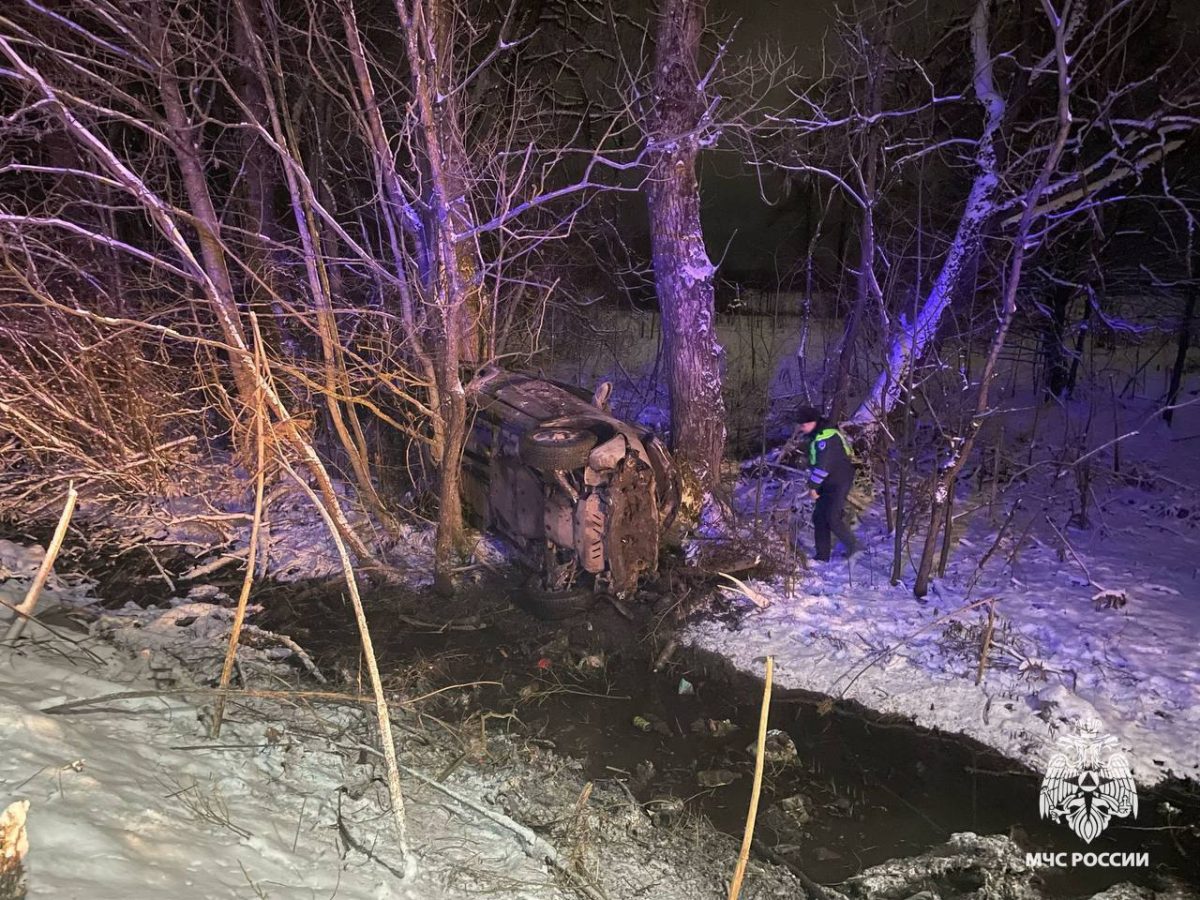 В Тверской области сотрудники МЧС спасли двух человек из автомобиля