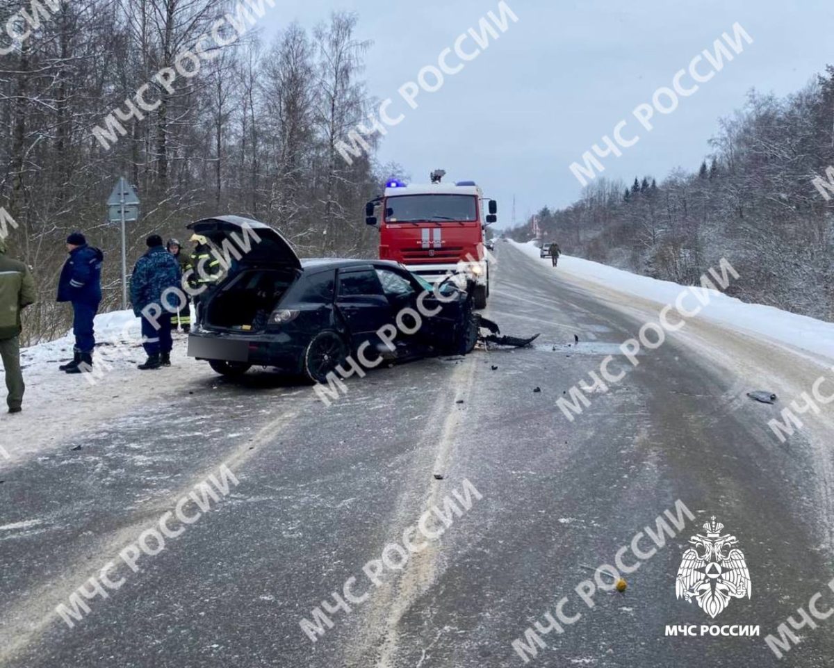 В Тверской области сотрудники МЧС ликвидировали аварию на въезде в город В Тверской области сотрудники МЧС ликвидировали аварию на въезде в город