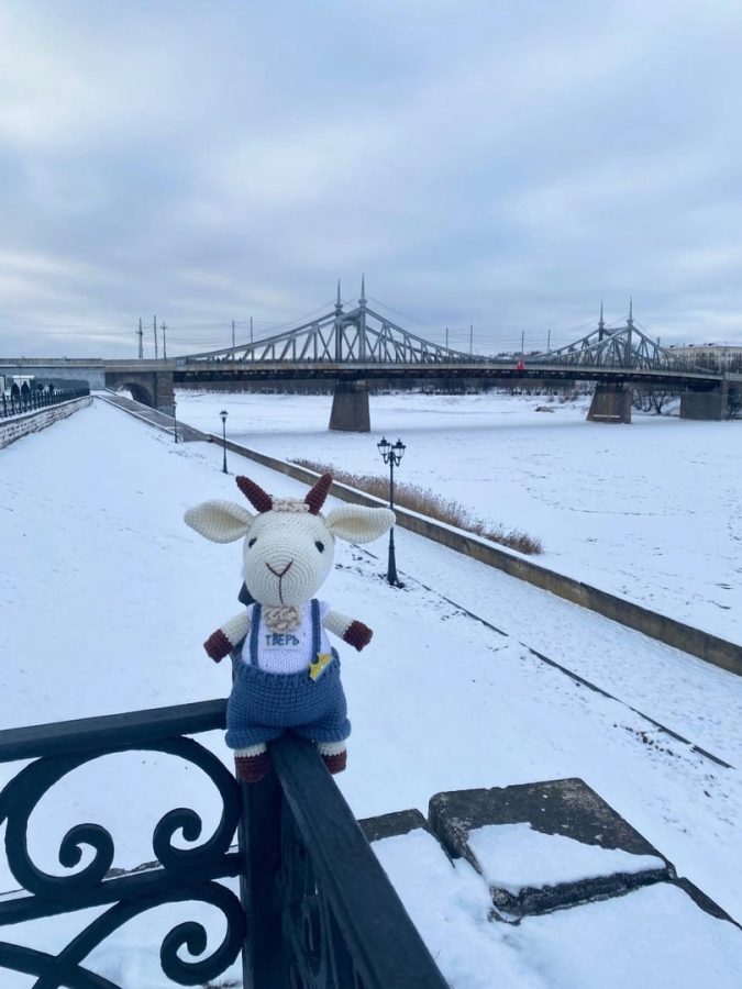 По центральным улицам Твери гуляет вязаный козел