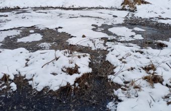 В Тверской области канализация разлилась прямо возле насосной станции