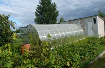 Владельцы бань, сараев и теплиц должны платить новый налог