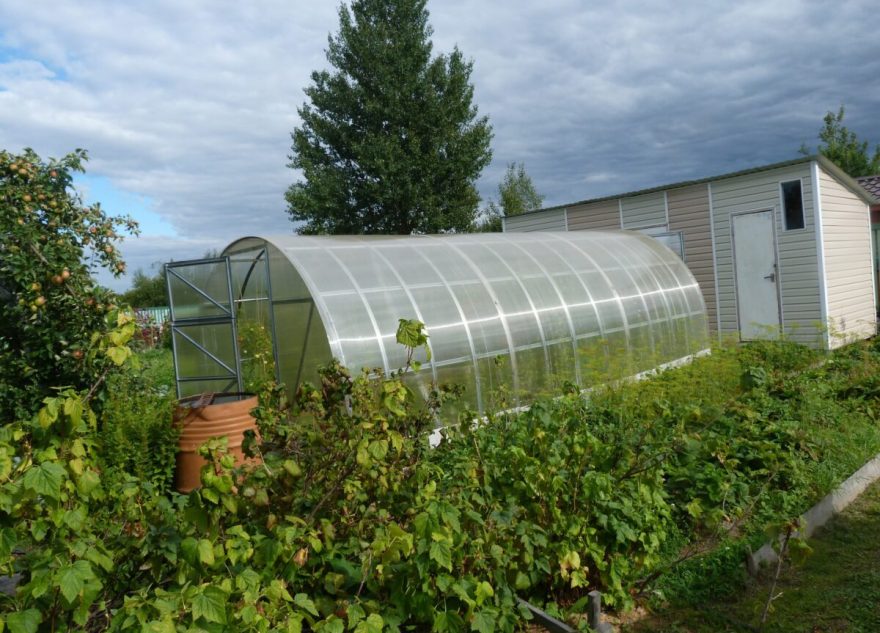 Владельцы бань, сараев и теплиц должны платить новый налог