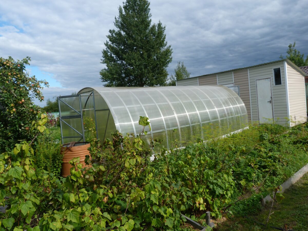 Владельцы бань, сараев и теплиц должны платить новый налог