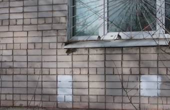 Молодая семья воробьев ищет в Твери дом