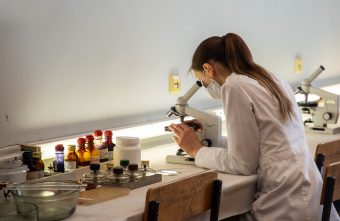 Ученые выяснили, как цитрусовые влияют на набор веса Ученые выяснили, как цитрусовые влияют на набор веса