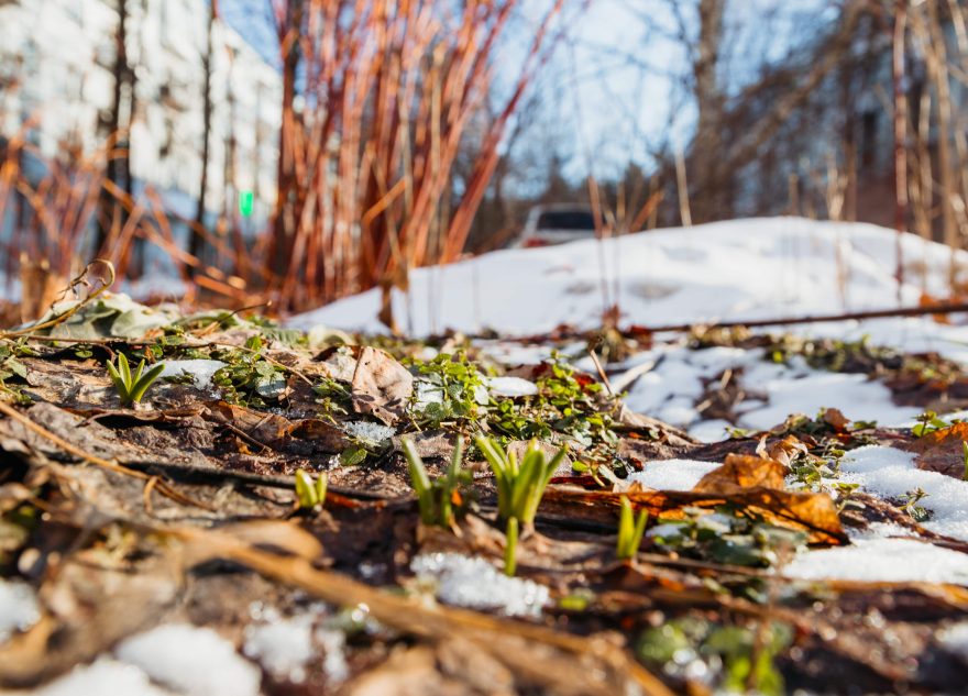 Март поразит жителей Тверской области своей погодой