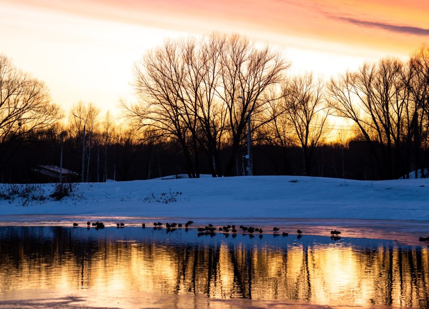 Синоптики рассказали, когда морозы уйдут из Тверской области