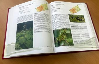 В Тверской области стартовал творческий конкурс рисунков «Красная книга Тверской области глазами детей» В Тверской области стартовал творческий конкурс рисунков «Красная книга Тверской области глазами детей»