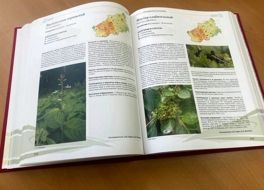 В Тверской области стартовал творческий конкурс рисунков «Красная книга Тверской области глазами детей»