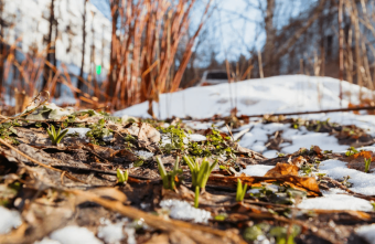 Весна не торопится радовать жителей Тверской области своим приходом Весна не торопится радовать жителей Тверской области своим приходом