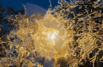 На следующей неделе жители Тверской области останутся без электричества На следующей неделе жители Тверской области останутся без электричества