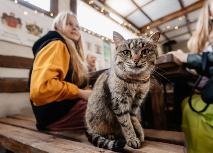 Названы недорогие курорты для летнего семейного отдыха