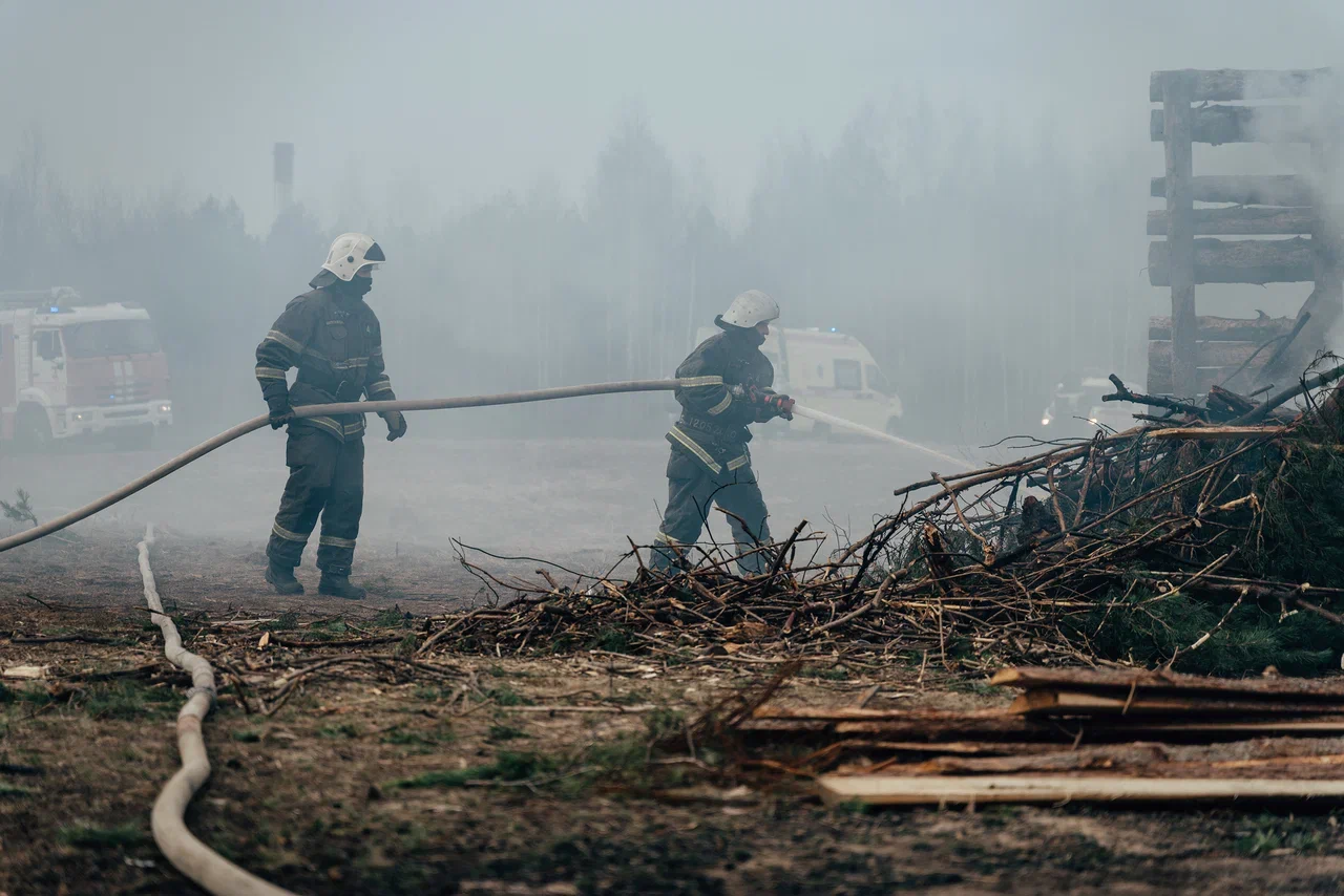 Известный синоптик Роман Вильфанд сообщил о сложном пожароопасном сезоне весной