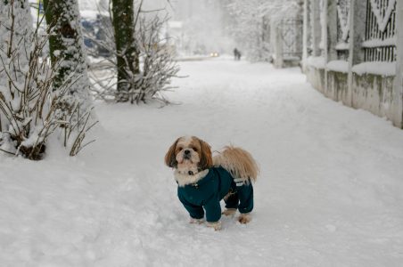 Морозы в Тверской области усилятся до сибирских Морозы в Тверской области усилятся до сибирских