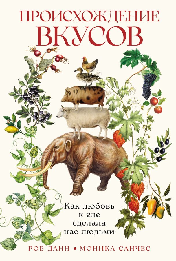 Читатель Толстов: Ржевская битва, советские истребители и письма внуку