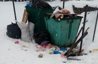 В деревнях Тверской области три недели не вывозят мусор В деревнях Тверской области три недели не вывозят мусор