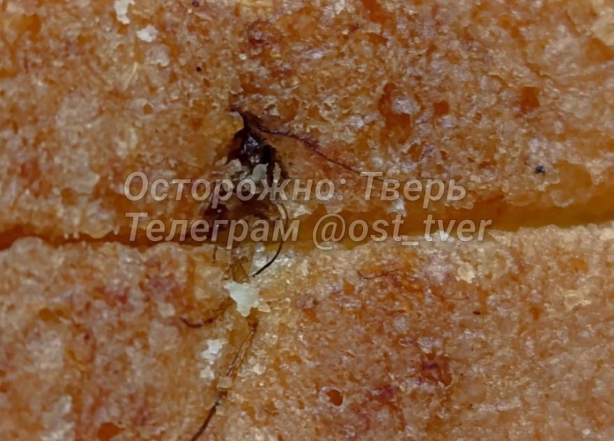 Жители Тверской области обнаружили в хлебе необычную начинку