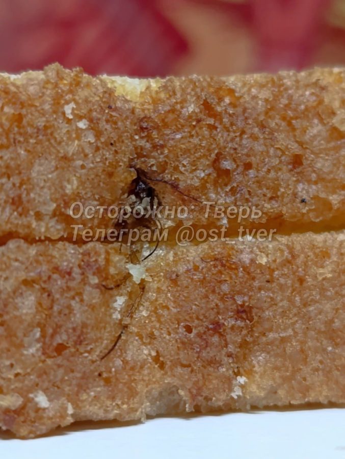 Жители Тверской области обнаружили в хлебе необычную начинку