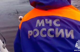 В Твери спасли пса, который упал в реку В Твери спасли пса, который упал в реку