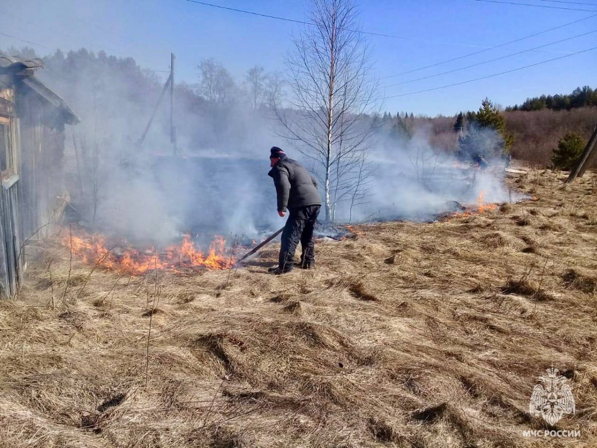 Поджигателей травы в Тверской области нашли и наказали