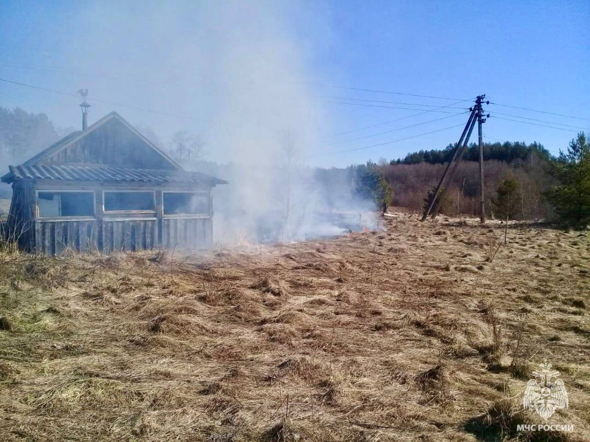 Поджигателей травы в Тверской области нашли и наказали