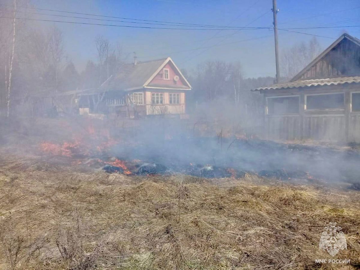 Поджигателей травы в Тверской области нашли и наказали