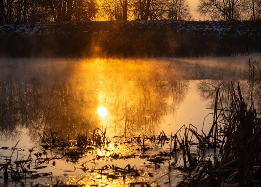 В Тверской области начинается первая волна жары
