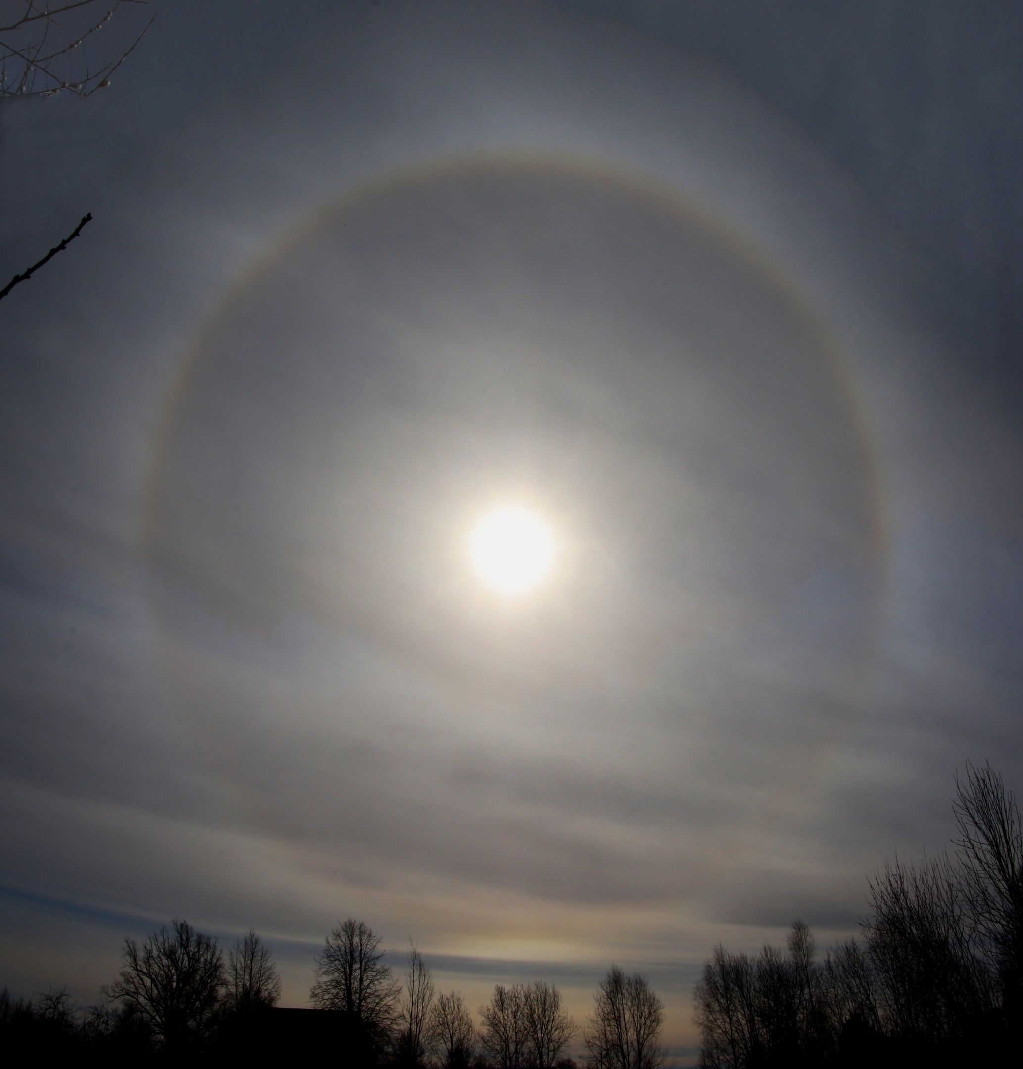 Жители Тверской области наблюдали на небе уникальное явление