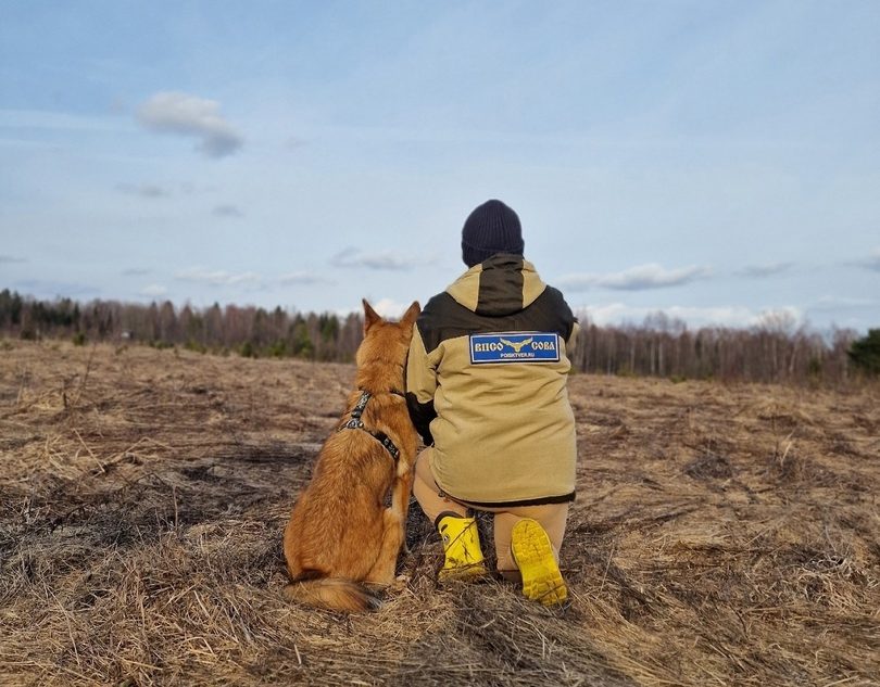 Работа кинологических расчётов «Совы» по поиску пропавшей под Тверью девочки продолжается