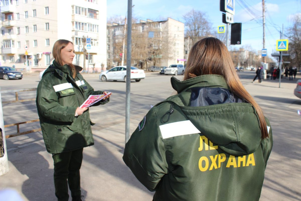 «Останови огонь!»: жителям Тверской области напоминают о недопустимости пала сухой травы