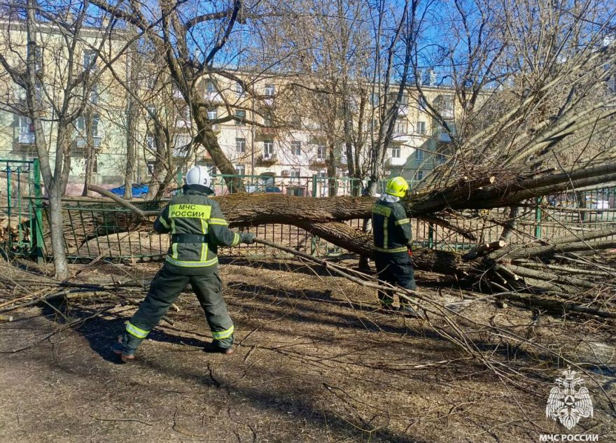 Крупное дерево рухнуло на территорию детского сада в Тверской области Крупное дерево рухнуло на территорию детского сада в Тверской области