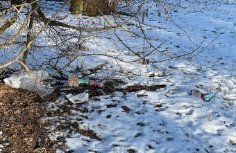 Жители Тверской области сфотографировали первые "подснежники" Жители Тверской области сфотографировали первые "подснежники"