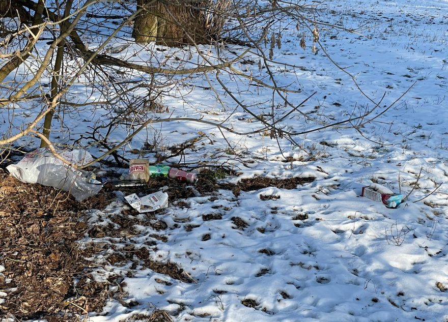 Жители Тверской области сфотографировали первые "подснежники" Жители Тверской области сфотографировали первые "подснежники"